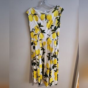 Lemons Sleeveless Summer A-Line Retro  Dress